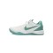 Nike Kobe 8 Protro 'Radiant Emerald' FQ3549-101