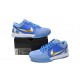 Nike Zoom Kobe 4 Protro Platinum 344335-411