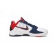 Nike Zoom Kobe 5 Team USA 2010 'White Red Blue' 386430-103