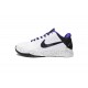 Nike Zoom Kobe 5 'Inline' 386429-101