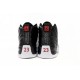 AIR JORDAN 12 RETRO 'PLAYOFF' 2022 CT8013-006