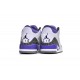 AIR JORDAN 3 RETRO 'DARK IRIS' CT8532-105