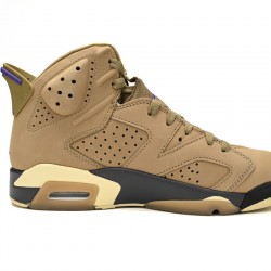 AIR JORDAN 6 RETRO GORE-TEX 'BROWN KELP' FD1643-300