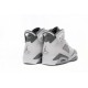 AIR JORDAN 6 RETRO 'COOL GREY' CT8529-100